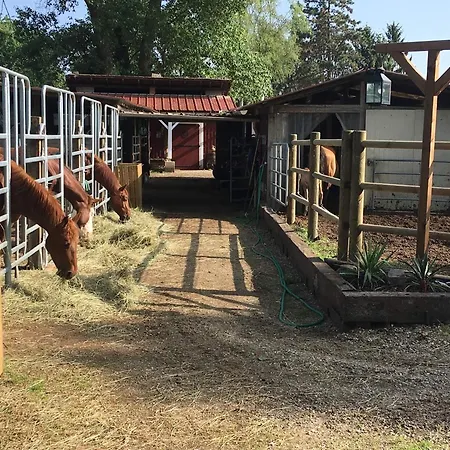 Dome Nature & Jaccuzi Au Bluegrassranch Kemping