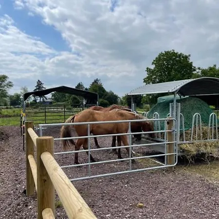Dome Nature & Jaccuzi Au Bluegrassranch Bischoffsheim