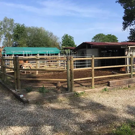 Kemping Dome Nature & Jaccuzi Au Bluegrassranch Bischoffsheim