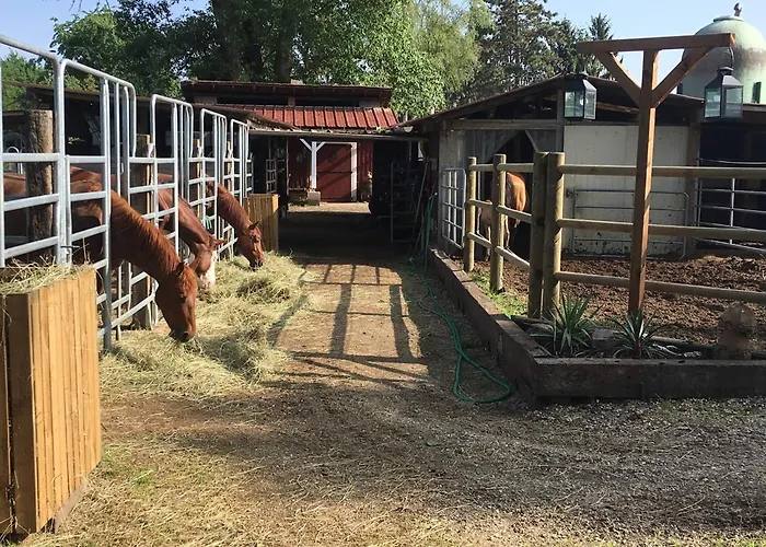 Dome Nature & Jaccuzi Au Bluegrassranch Κάμπινγκ
