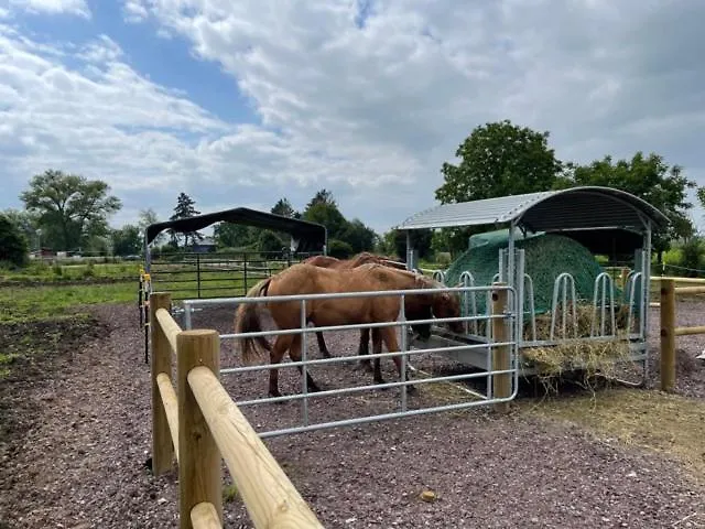Dome Nature & Jaccuzi Au Bluegrassranch Bischoffsheim