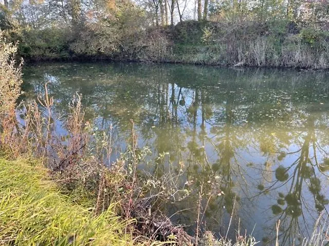 Dôme Nature&jaccuzi Au Bluegrassranch Parque de Campismo Bischoffsheim