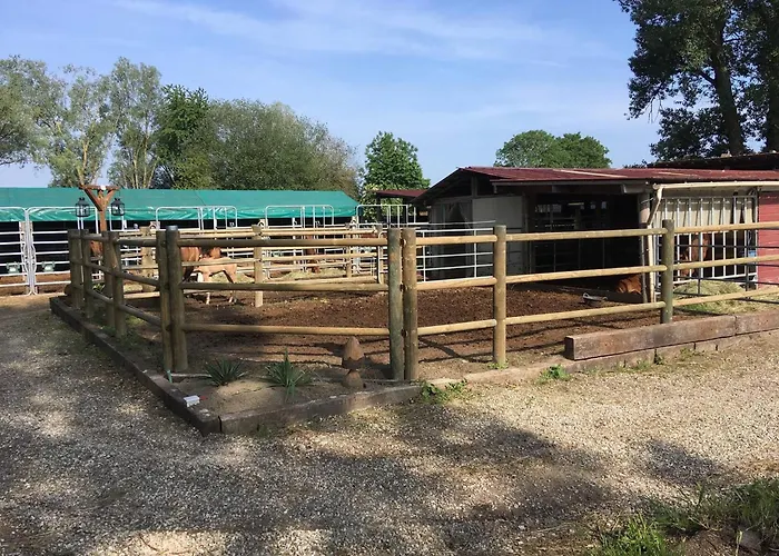 Κάμπινγκ Dome Nature & Jaccuzi Au Bluegrassranch Bischoffsheim